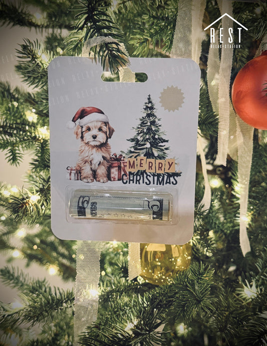 Christmas Money Card - Money Holder Card - Christmas Ornaments - Christmas Gift for Kids - Money Gift Holder - Cash Gift Ideas Christmas