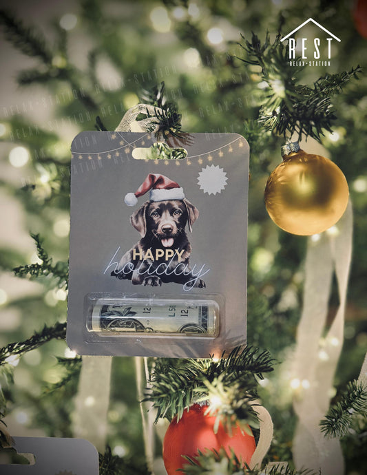 Christmas Money Card - Money Holder Card - Christmas Ornaments - Christmas Gift for Kids - Money Gift Holder - Cash Gift Ideas Christmas